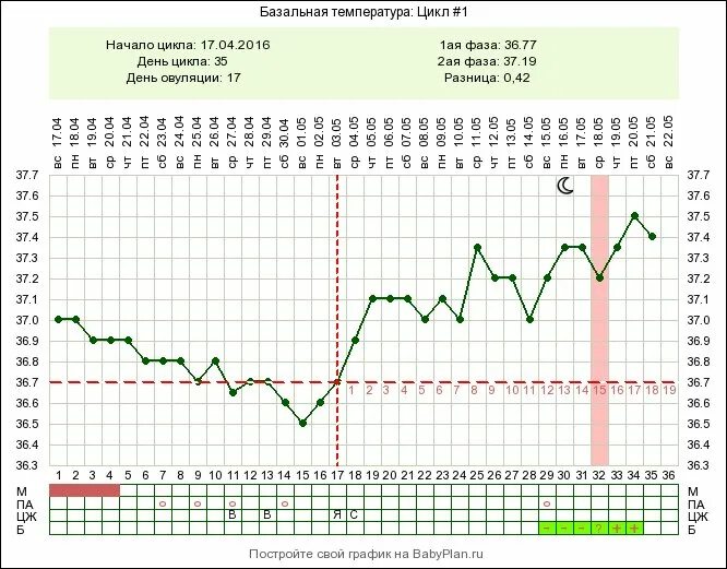 26 день цикла можно забеременеть. 23 День цикла при беременности. Первый день цикла это. 1 День цикла это. Беременность на 23 день цикла.