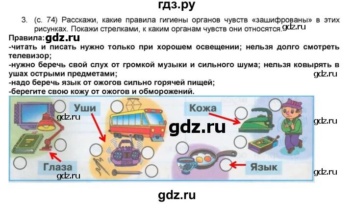 Окружающий 3 класс страница 83. Окружающий мир 3 класс рабочая тетрадь 1 часть Плешаков стр 74. Окружающий мир 3 класс рабочая тетрадь Плешаков 1 часть стр 74 номер 2. Готовые домашние задания. Окружающий мир 3 класс рабочая тетрадь стр 74.