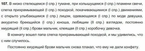 Русский язык 8 класс ладыженская упражнение 107