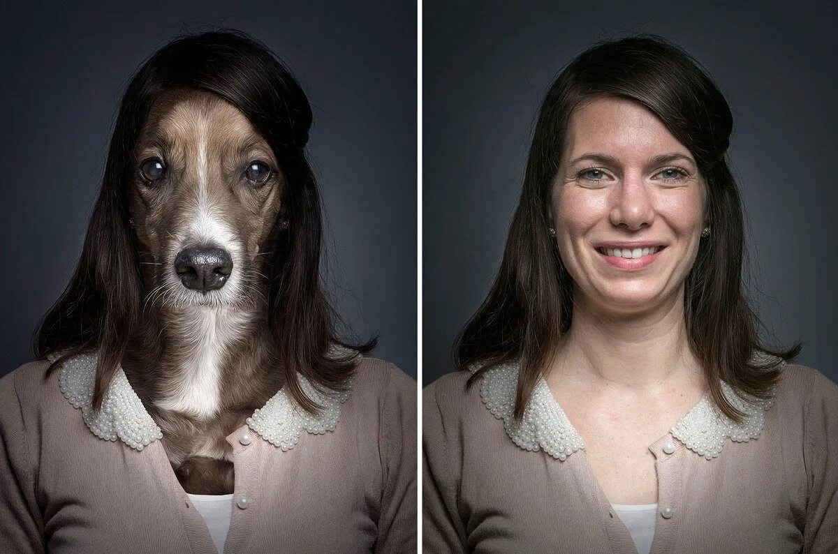 Человек стал животным. Себастьян Маньяни фотограф. Женщина с лицом собаки.