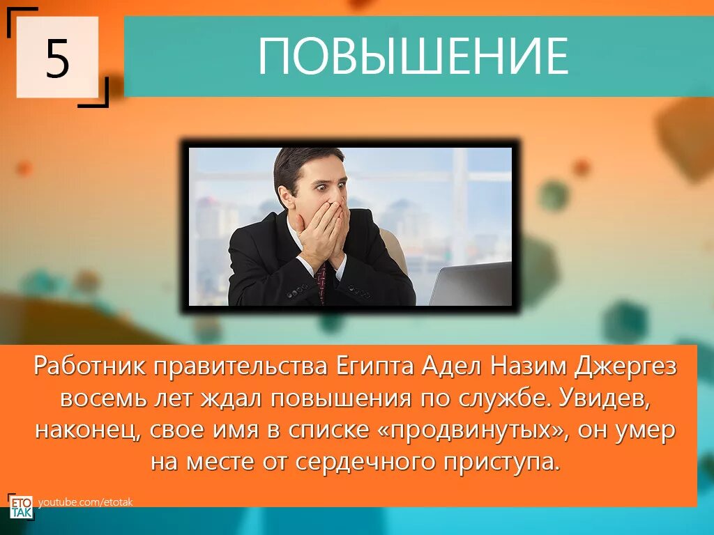 10 самых глупых. 10 самых глупых