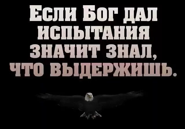 Почему дают испытания. Если Бог дал испытания. Если Бог дал испытание значит. Если Бог дал испытание значит знал что выдержишь. Бог не даёт испытаний.