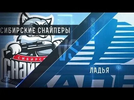 Сибирский снайпер реактор