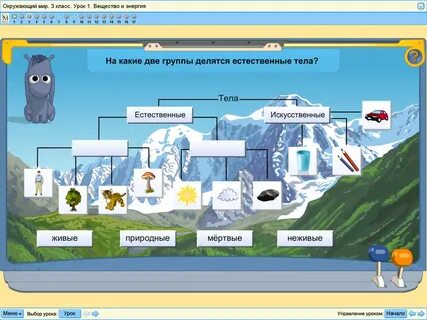 Познавательная игра окружающий мир