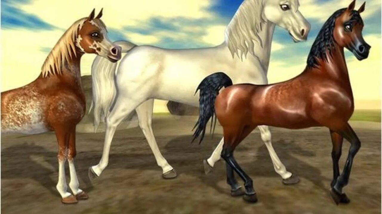 Верховая 1 6. Стар стейбл арабская лошадь 1 поколение. Арабская лошадь Стар стейбл. Арабская чистокровная лошадь Стар стейбл. Стар стейбл арабская чистокровная 3 поколения.