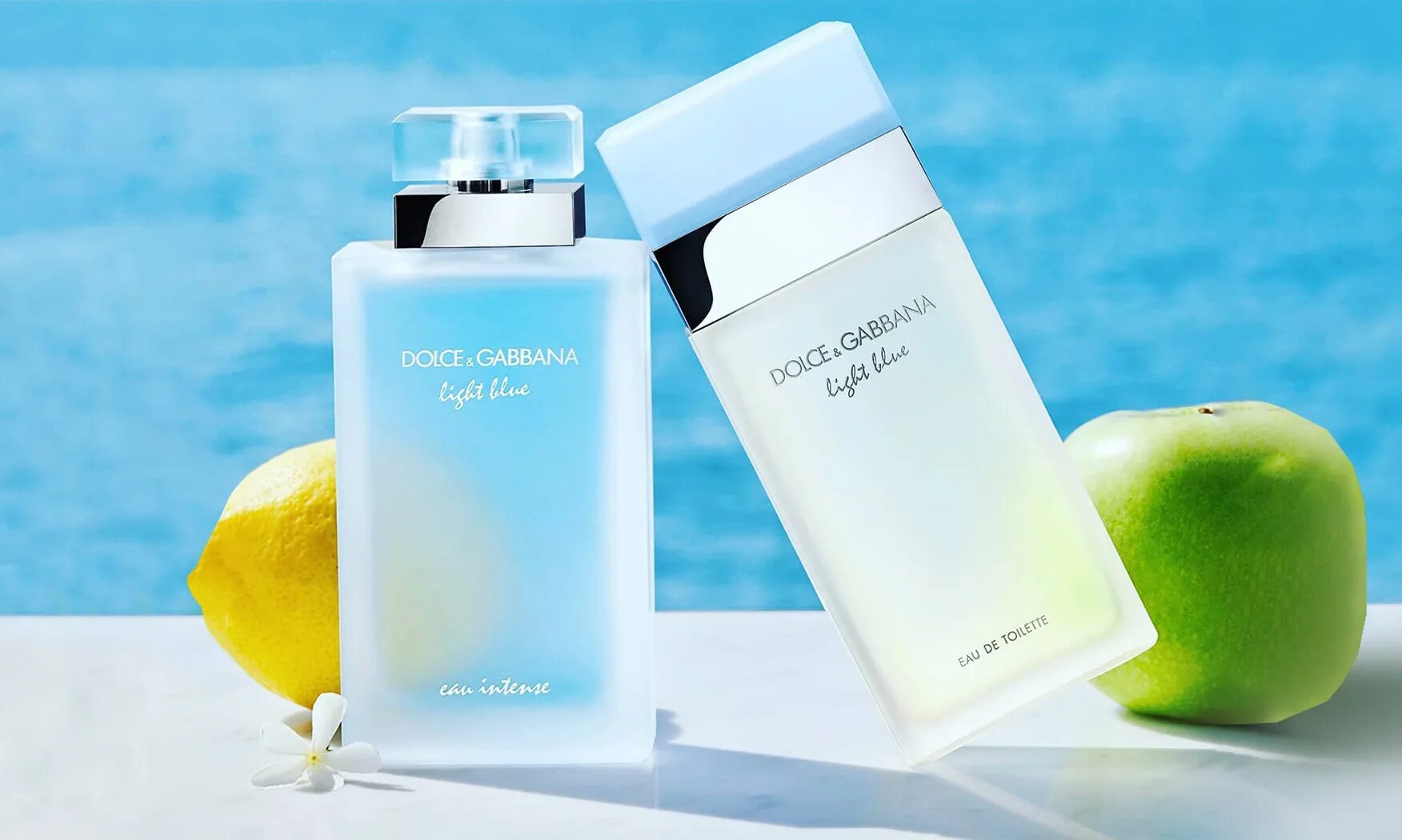 Dolce Gabbana Light Blue. Дрлче Набана Лайт бою. Дольче Габбана Лайт Блю. Dolce&Gabbana Light Blue Eau 100ml EDT. Dolce gabbana light blue 100