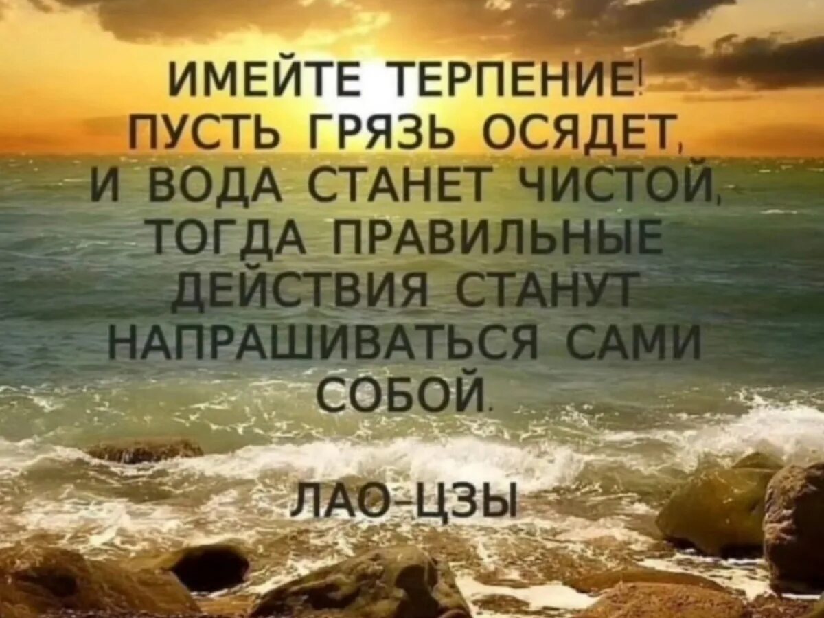 Цитаты про жизнь. Красивые фразы. Цитаты. Мудрые цитаты. Яркую жизнь цитаты.