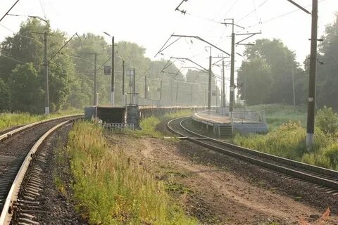 Новопетровское шаховская