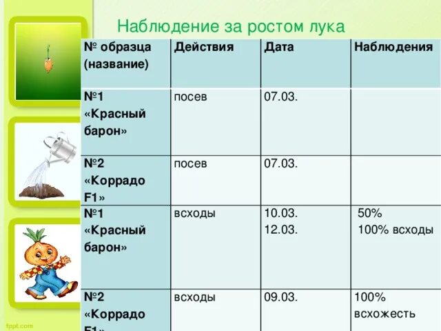 Наблюдение за ростом лука таблица 4 класс Презентация "Кто лучше, вкусней и нужней на земле" (3 класс) по окружающему миру