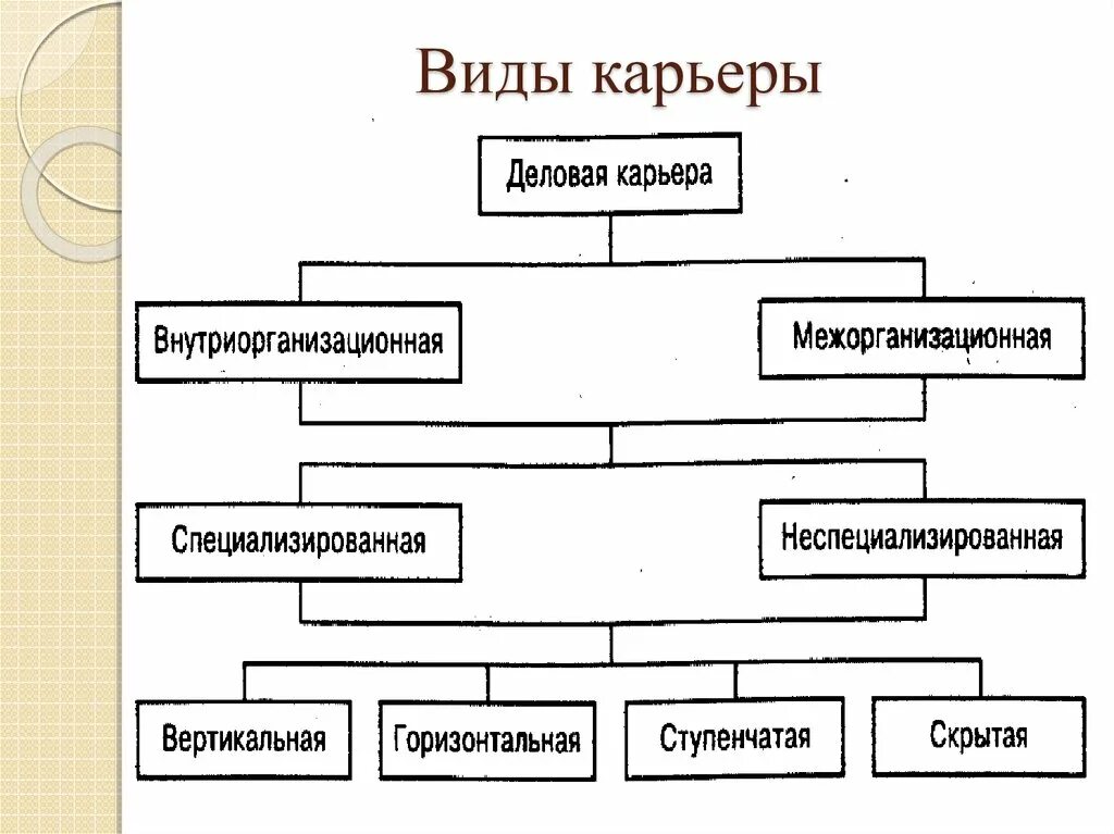 Виды карьеры. Типы профессиональной карьеры. Виды деловой карьеры. Типы и виды профессиональных карьер. И т д можно выделить