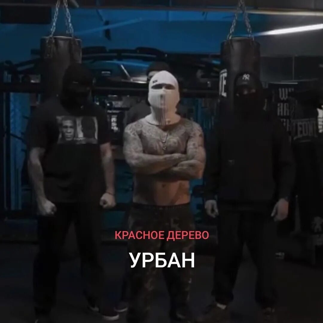 Рэп 2022. Красное дерево новый трек. Русский Rap (2022). Андеграунд рэп 2022 русский. Новинки рэп русский песня