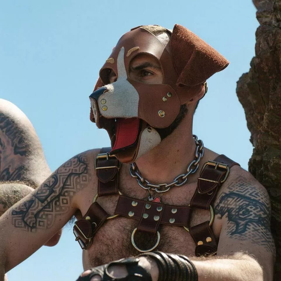 Puppy play. Паппи плеер субкультура. puppy play мужчины. собака субкультура. puppy play парень.