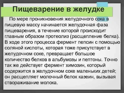 Какие процессы пищеварения происходят в желудке