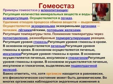 Гомеостаза 1