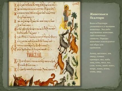 Когда не читается псалтирь в 2024 году