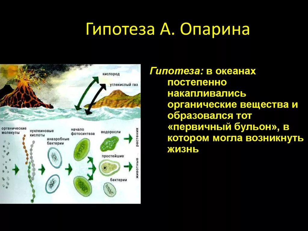 Жизнь возникла в первичном. Теория возникновения жизни по Опарину. Первичный бульон теория о зарождении жизни. Гипотеза Опарина. Гипотеза возникновения жизни Опарина.