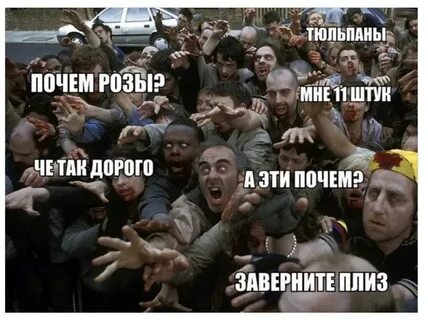 Цветы нам не нужны