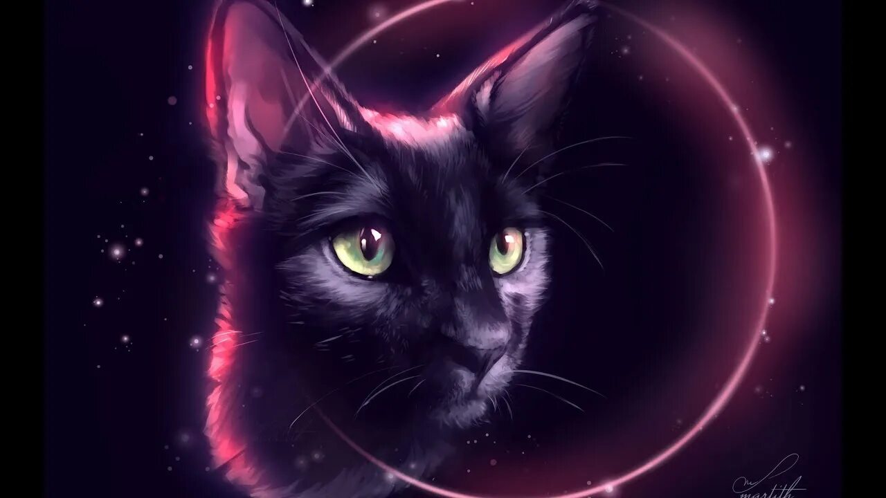 Аватарки для дс коты