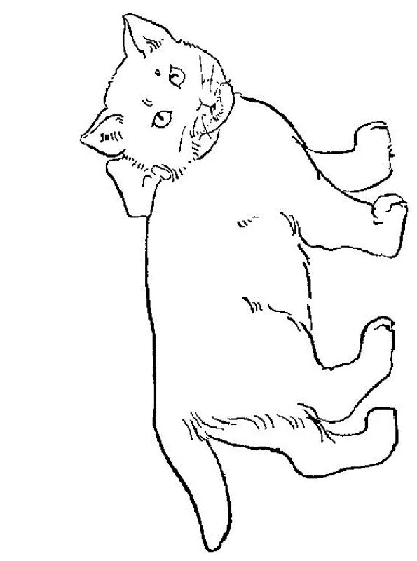 Стоящий кот рисунок. Раскраска кот на задних лапах. кот для раскрашивания сзади. кот на задних лапках раскраска. раскраска лапка котика.