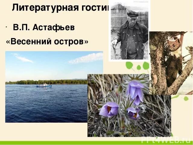 План весенний остров. В П Астафьев весенний остров. В П Астафьев весенний остров презентация.