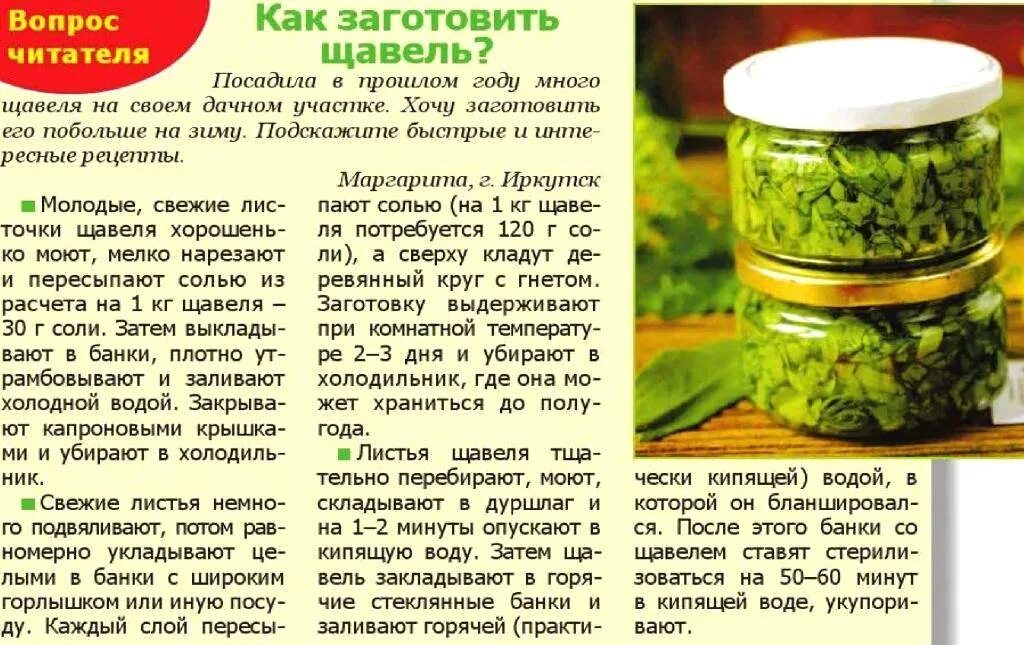 Засолить щавель на зиму в банку. Рецепты заготовок. рецепты заготовок в картинках. заготовки на зиму рецепты. рецепты заготовок на зиму в картинках.