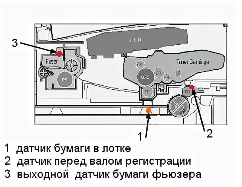 Где находится датчик бумаги в принтере Застряла Бумага В Принтере Epson Telegraph