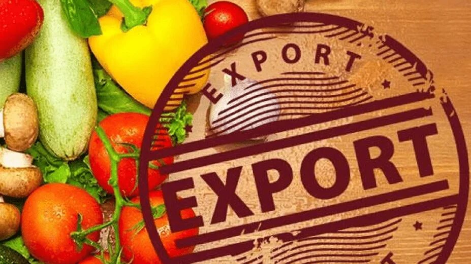 Импорт сельхозпродукции. Экспорт сельскохозяйственной продукции. экспорт сельхозпродукции. экспортеры сельскохозяйственной продукции. экспорт сельскохозяйственных продуктов.
