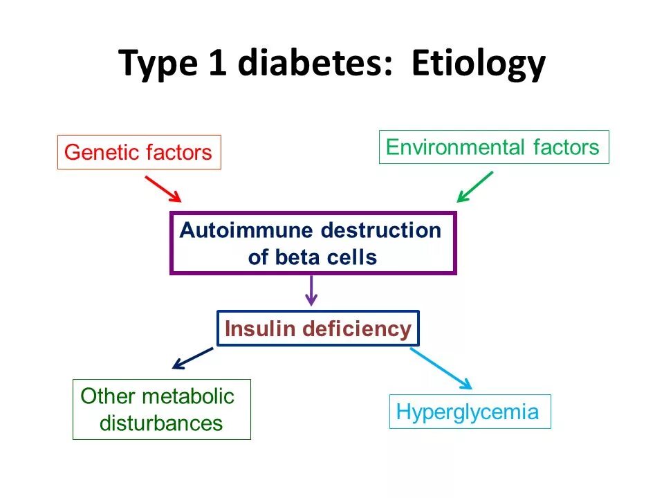 Diabetes mellitus Type 1 Pathophysiology. Diabetes mellitus presentation. Diabetes Type 1 genetic. Schema of type1 Diabetes. Sites type 1