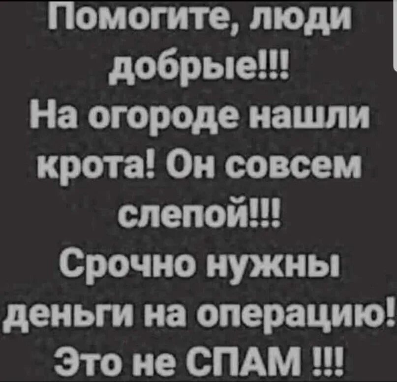 Совсем слеп. Нашли крота совсем слепой помогите. Помогите он совсем слепой. Нашел крота он совсем слепой.