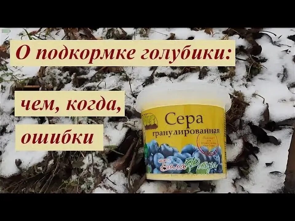 Подкормка голубики. Удобрение для голубики. Схема подкормки голубики. Схема удобрений голубики.