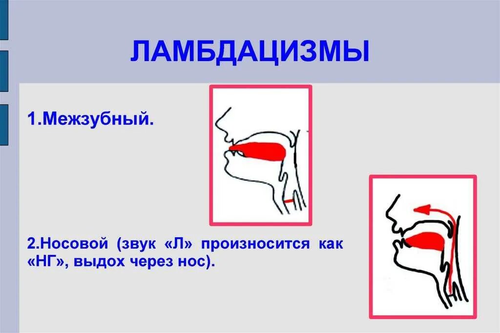 Как произносится л. Правильная артикуляция звука л. Нарушения произношения звуков л л. Правильная артикуляция звука л в логопедии. Неправильное произношение звука л.