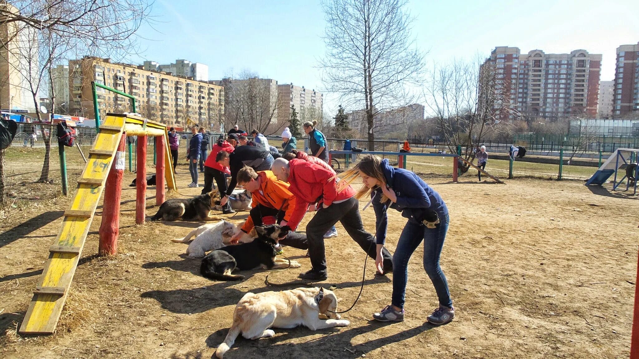 служебные площадки для собак. площадки для кинологов. площадки для кинологов. собачья площадка в москве. площадка кинологов.