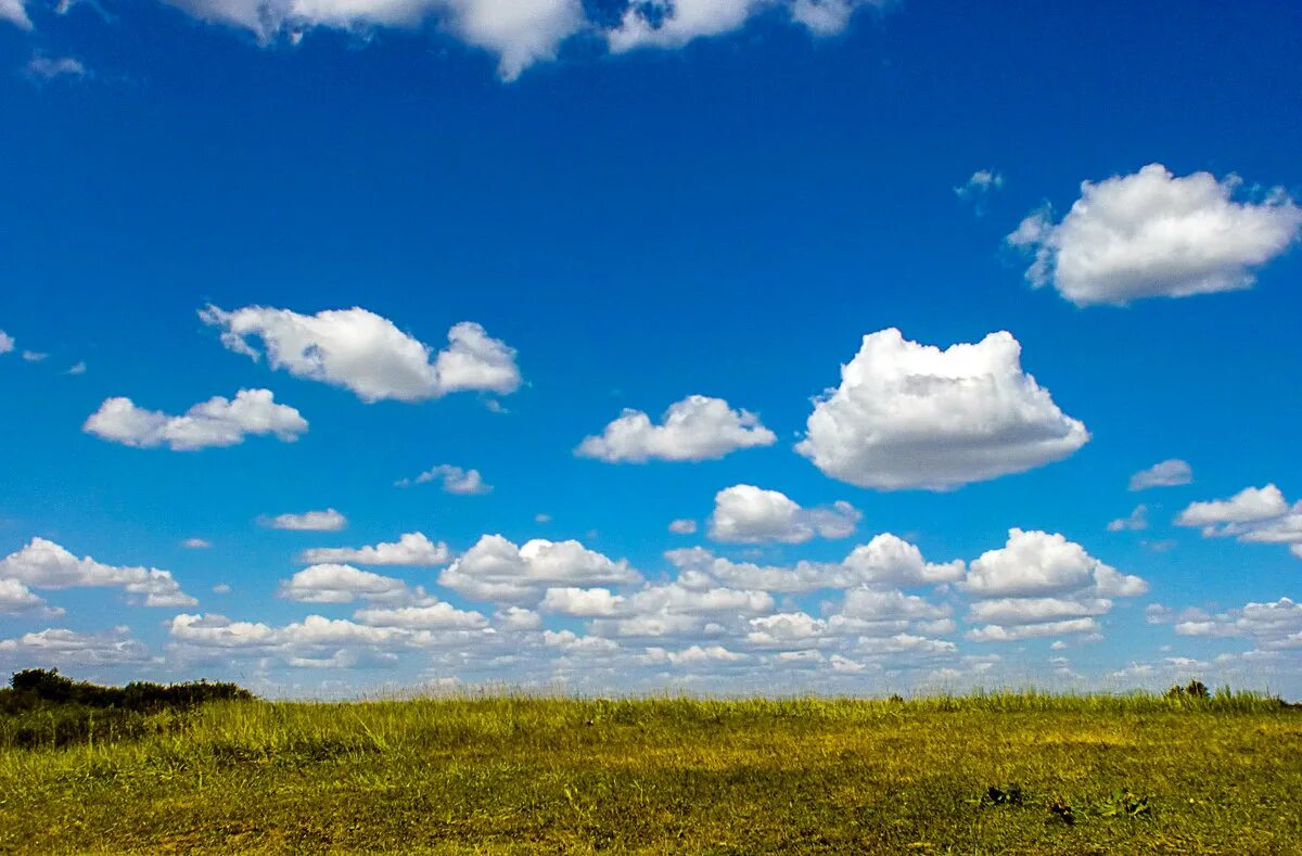 Автор облака плывут облака. Красивые облака в даль. Облака плывут по траве. Облака плывут в даль. Облака в дали.