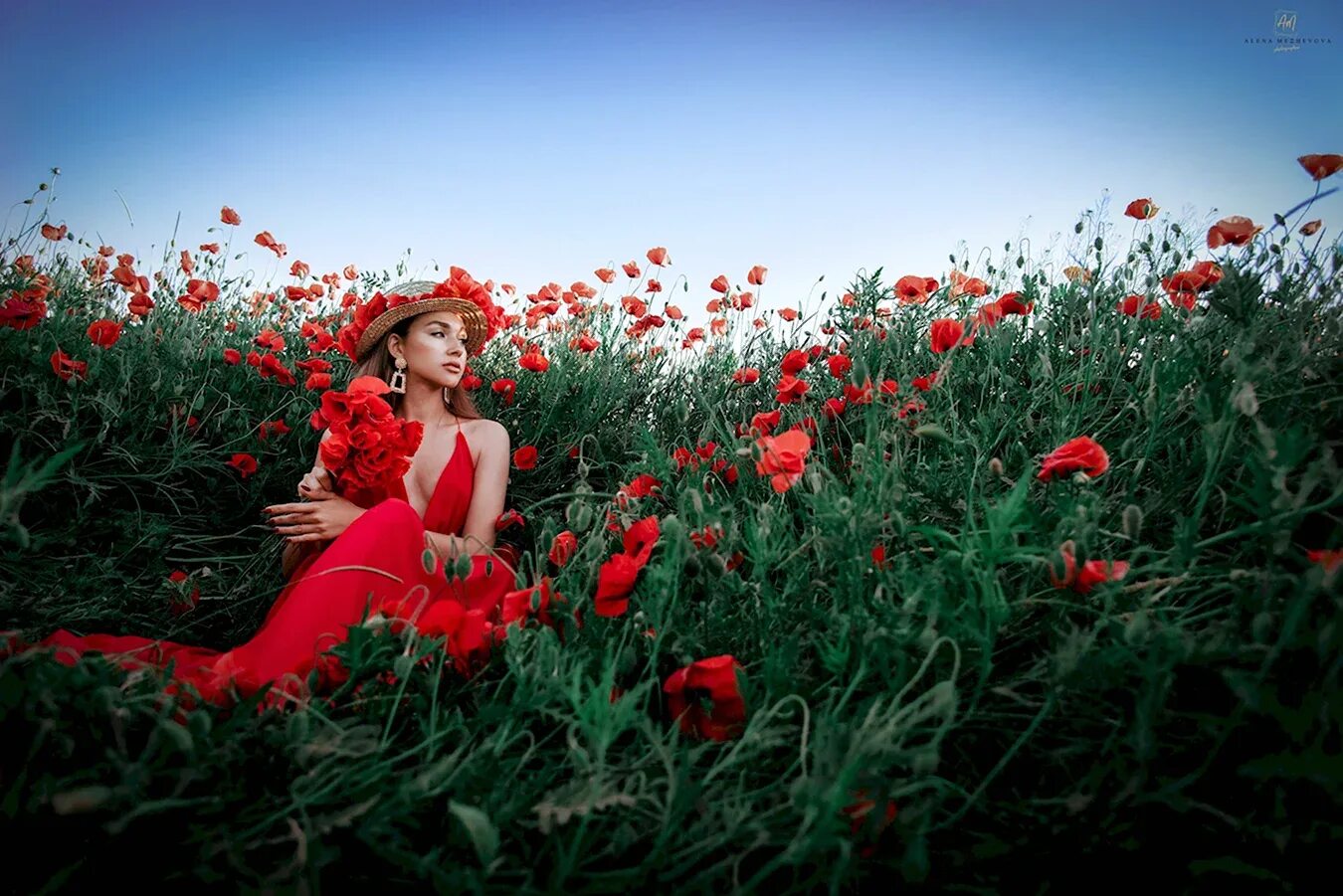 Фотосессия в маковом поле идеи. Фотосессия в маковых полях. Маковое поле девушка. Фотосессия с маками в поле. Фотосессия в маковых полях.