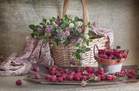 Вкус лета книга