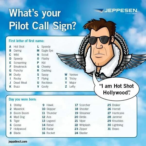 Call sing. Viper Pilots Callsigns. Callsigns. Картинка i was your Pilot. Pilot sign.