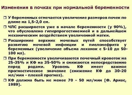 В чашечка почка нормы