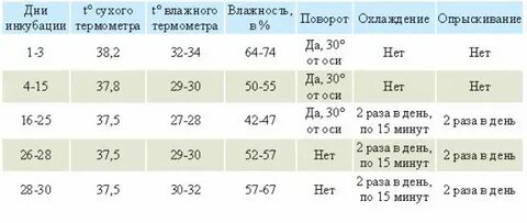 Температура и проветривание инкубатора
