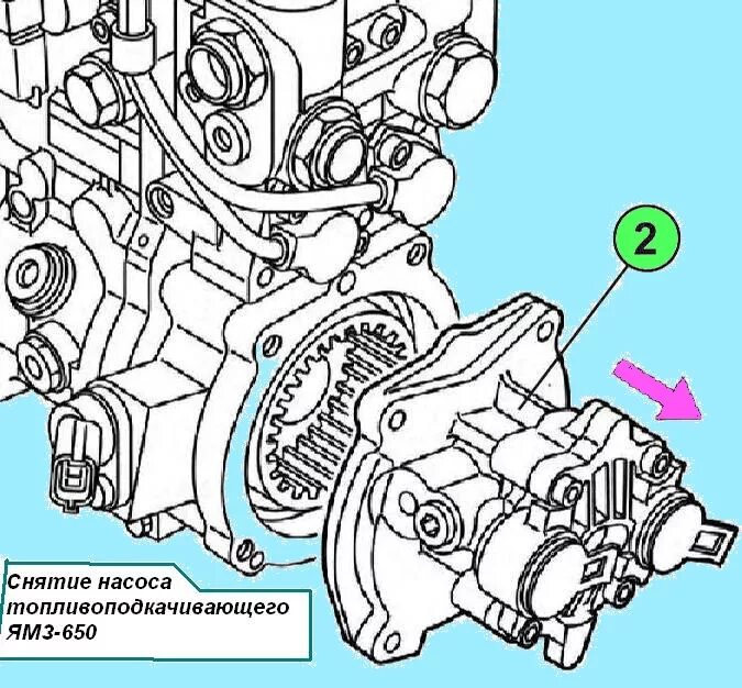 Ямз 650 затяжки. Двигатель ЯМЗ 650 топливная система. Топливный насос МАЗ 650. Насос ТННД ЯМЗ 650. Топливоподкачивающий насос ЯМЗ 650.