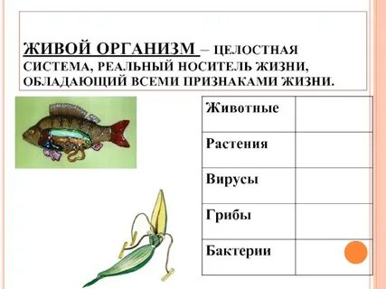 Перечислите основные признаки живого организма