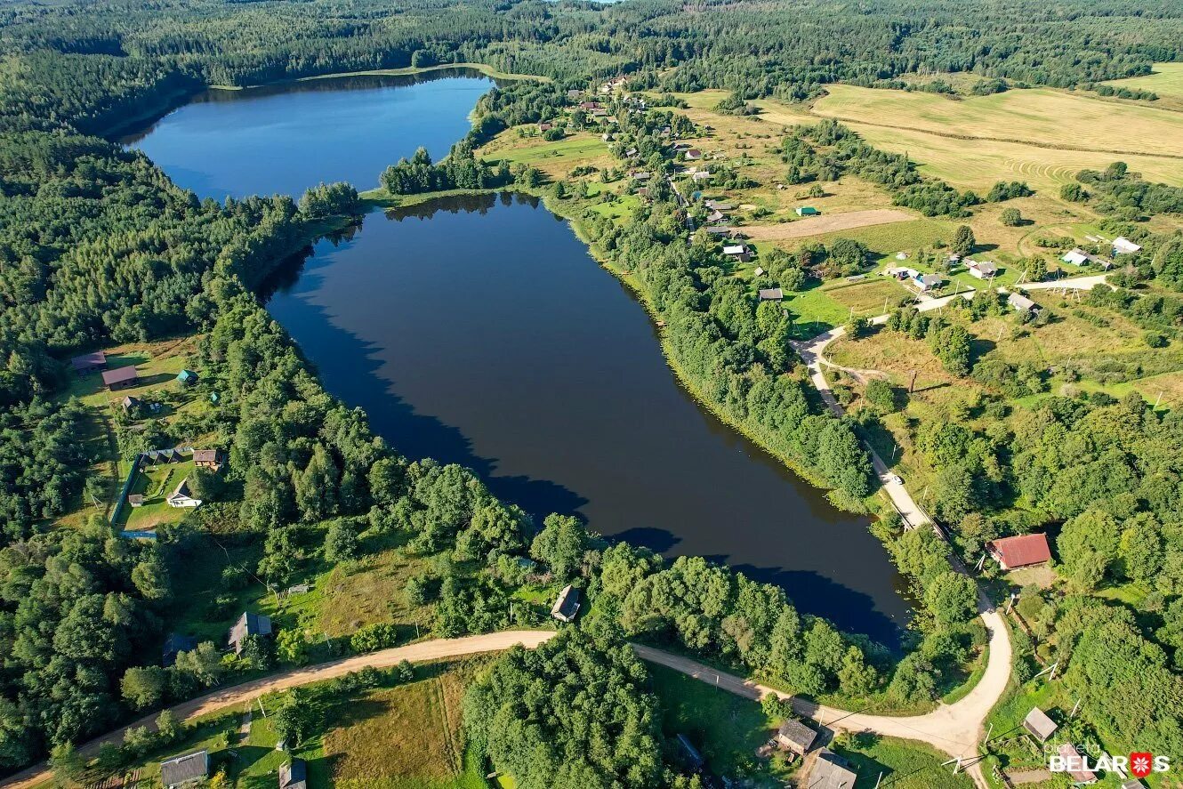 Озеро боровенок ушачского района. Озеро кривое ушачского района. Озеро кивиярви. Белое озеро рязанская область. Озеро белое деревня белое клепиковский район.