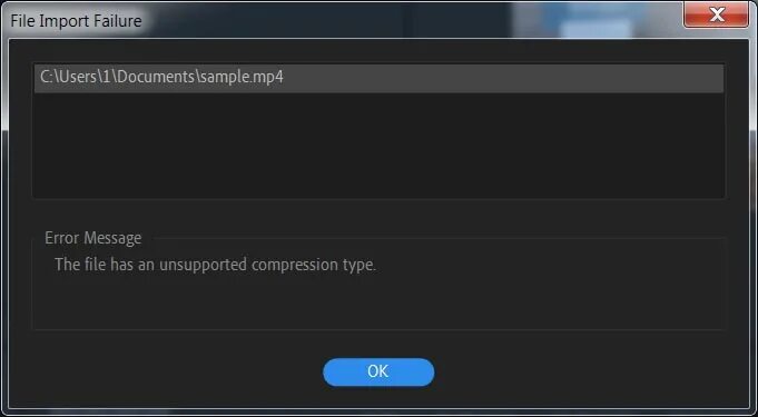 Почему в премьер про не импортируются файлы mov. Import failed. Segment import failed youtube. Ошибка тема в wordpress. Adobe premiere pro 2021.