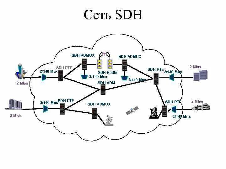 6 элементов сети. Синхронная цифровая иерархия SDH. Сети синхронной (SDH) цифровой иерархии. Системы передачи синхронной цифровой иерархии SDH. Уровни иерархии SDH.