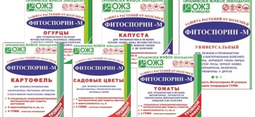 Готовый раствор фитоспорина. Фитоспорин-м томат. Фитоспорин-м паста для огурцов. Фитоспорин порошок 10 гр для томатов. Фитоспорин для томатов паста.