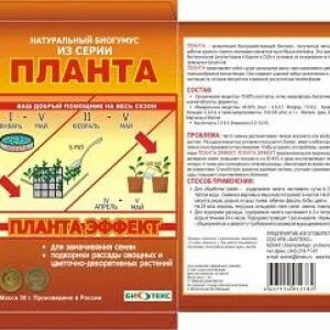 Планта 5