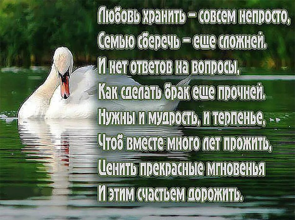 Стихи о семейной жизни и любви. Стихи о счастливой семейной жизни. Красивые стихи о любви. Красивые высказывания о семье любви и верности.