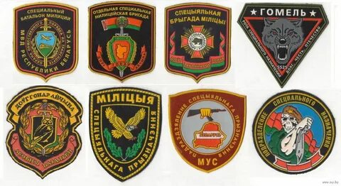 4 специальное по