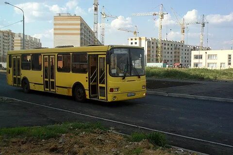 Автобус 31 тамбов