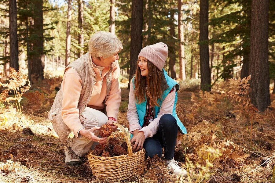 Дедушка и внучка в лесу. Бабушка в лесу с грибами. Бабушка с корзинкой в лесу. Фотосессия в лесу с корзиной. Девочка с бабушкой в лесу грибы собирают.