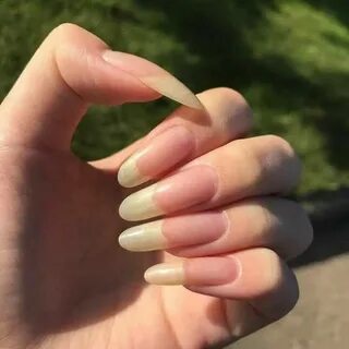Лак длинные